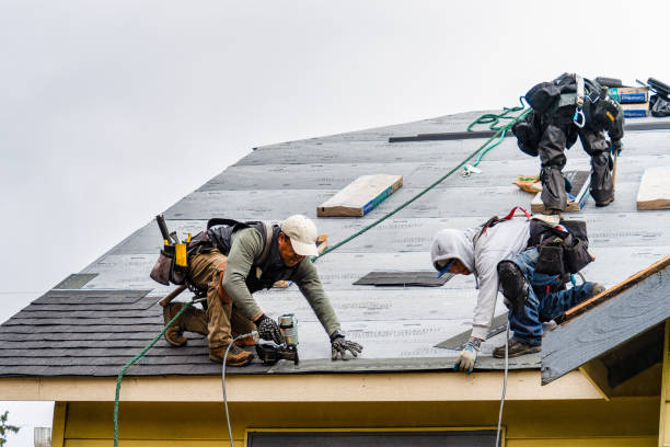 Professional Gutter Installation technician working in Hubbard, TX